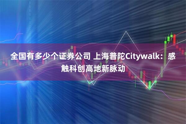 全国有多少个证券公司 上海普陀Citywalk：感触科创高地新脉动