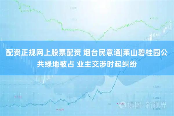 配资正规网上股票配资 烟台民意通|莱山碧桂园公共绿地被占 业主交涉时起纠纷
