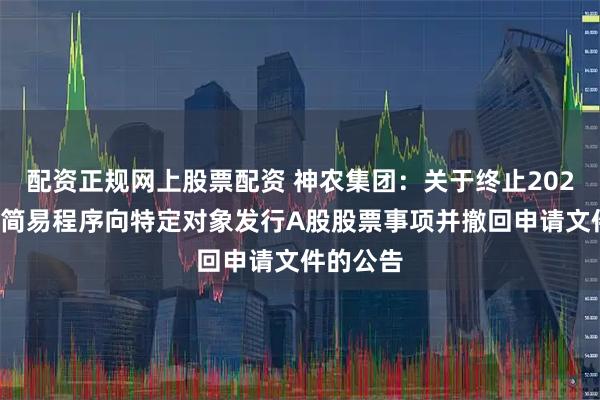 配资正规网上股票配资 神农集团：关于终止2024年度以简易程序向特定对象发行A股股票事项并撤回申请文件的公告